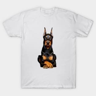 Doberman Guards Me - Dobermann Pinscher Dog T-Shirt